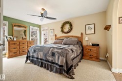 Carpeted bedroom featuring a ceiling fan with integrated lighting, multiple windows providing natural light, a decorative arched doorway, and neutral wall paint with a contrasting accent wall - 
