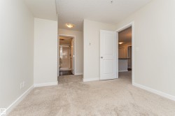 Carpeted room with light-colored walls and baseboards - 