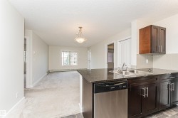 Kitchen island with a dark polished countertop, stainless steel sink, and integrated dishwasher - 