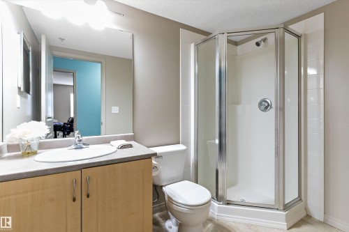 #111 11445 Ellerslie Rd Sw, Edmonton, AB - Indoor Photo Showing Bathroom
