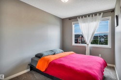 Bedroom featuring light gray wall paint, a double window with white trim, and neutral carpet flooring - 