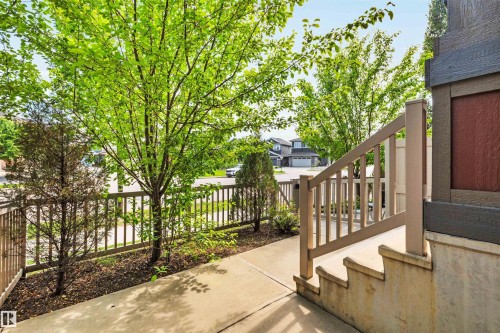 Concrete walkway and steps bordered by a wood fence and mature trees - 571 Orchards Boulevard Sw, Edmonton, AB - Outdoor