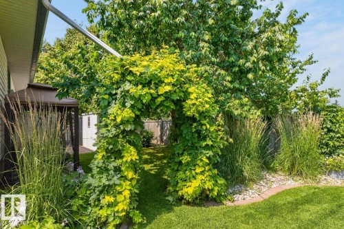 Lush green archway feature opening into a manicured lawn area - 27 Milford Crescent, Sherwood Park, AB - Outdoor