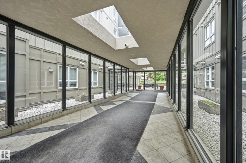 Glass-enclosed pedestrian walkway featuring skylights, tile flooring, and a patterned runner - #203 11103 84 Av Nw, Edmonton, AB - Indoor Photo Showing Other Room