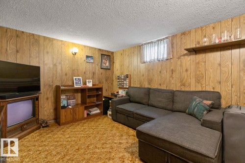 12044 50 Street Nw, Edmonton, AB - Indoor Photo Showing Living Room