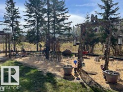 Expansive yard featuring mature evergreen trees, a decorative arbor, and defined garden beds - 