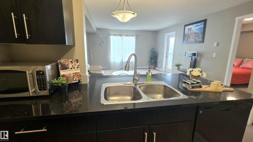 #310 5370 Chappelle Rd Sw Sw, Edmonton, AB - Indoor Photo Showing Kitchen With Double Sink