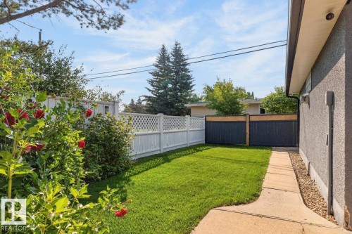 Landscaped backyard featuring a manicured lawn, concrete pathway, and mature trees - 4631 113A Street Nw, Edmonton, AB - Outdoor