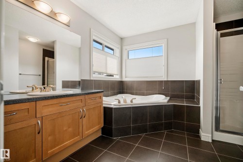 8385 Shaske Crescent Nw, Edmonton, AB - Indoor Photo Showing Bathroom