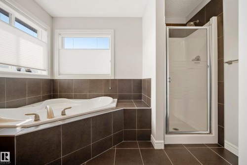 8385 Shaske Crescent Nw, Edmonton, AB - Indoor Photo Showing Bathroom