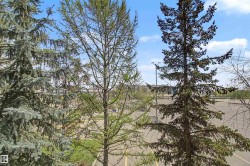 Mature evergreen trees and deciduous trees frame an open-air area with paved surfaces - 