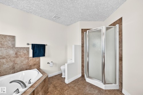 16619 72 Street Nw, Edmonton, AB - Indoor Photo Showing Bathroom
