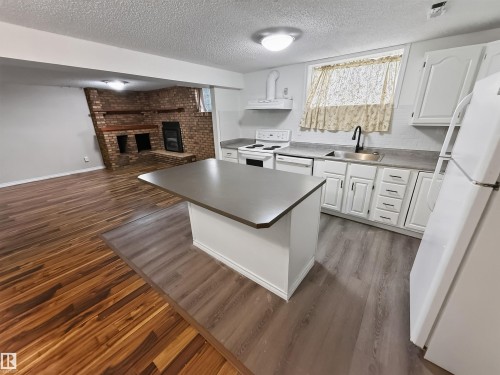 11327 25 Avenue Nw, Edmonton, AB - Indoor Photo Showing Kitchen With Fireplace