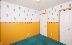 Room featuring a teal carpet and a two-tone wall design - 