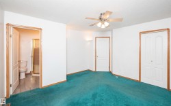 Carpeted room with a ceiling fan, white walls, and wood-finish trim - 