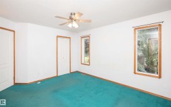Spacious room featuring a ceiling fan with integrated lighting, wood-trimmed windows, and a vibrant teal carpet - 