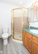 Bathroom featuring a corner shower with a gold-toned frame and frosted glass, a white toilet, a wood-finish vanity with a single sink and green countertop, and light wood-finish flooring - 