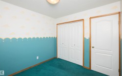 Wall-to-wall teal carpeting with light wood trim - 