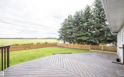 Expansive backyard featuring a multi-level composite deck, wooden privacy fence, mature evergreen trees, and a manicured lawn backing onto open fields - 