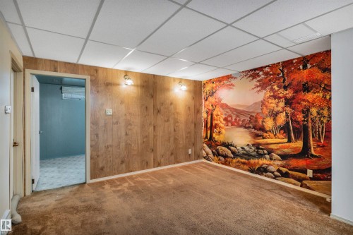 14928 69 Street Nw, Edmonton, AB - Indoor Photo Showing Other Room