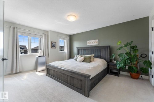 Carpeted bedroom featuring a light-colored wall, a contrasting accent wall, double windows, and a ceiling-mounted light fixture - 6875 Evans Wynd Nw, Edmonton, AB - Indoor Photo Showing Bedroom