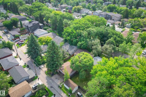 Aerial perspective showcasing a residential area with dense mature tree coverage - 7754 80 Avenue Nw, Edmonton, AB - Outdoor With View