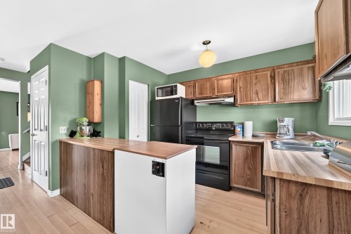 14029 30 Street Nw, Edmonton, AB - Indoor Photo Showing Kitchen With Double Sink