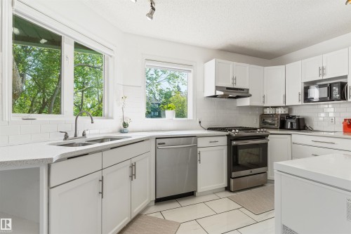 15817 102 Avenue Nw, Edmonton, AB - Indoor Photo Showing Kitchen With Double Sink