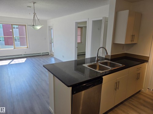 #309 5816 Mullen Pl Nw, Edmonton, AB - Indoor Photo Showing Kitchen With Double Sink