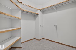 Spacious closet featuring built-in shelving, hanging rods, and a neutral carpet floor - 