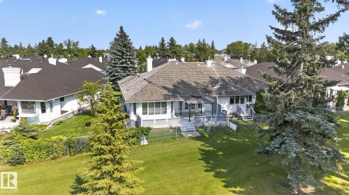 Expansive backyard featuring a large elevated deck, mature evergreen trees, and a sloped lawn - 120 Ironwood Place Nw, Edmonton, AB - Outdoor