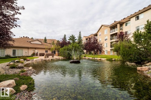 Expansive water feature with a central fountain, surrounded by natural rock landscaping and mature trees - #209 8912 156 St Nw, Edmonton, AB - Outdoor With Body Of Water