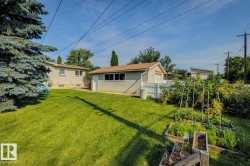 Expansive backyard featuring a large lawn, mature evergreen tree, and multiple raised garden beds - 