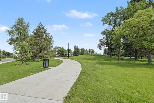 Paved walking path winding through a park-like setting with expansive green lawns, mature deciduous and evergreen trees, and a street light fixture - 8823 130A Avenue Nw, Edmonton, AB - Outdoor With View