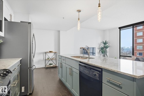 #506 10028 119 St Nw, Edmonton, AB - Indoor Photo Showing Kitchen With Double Sink
