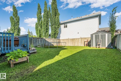 Expansive backyard featuring a lush green lawn, full privacy fencing, and a built-in storage shed - 2819 33 Street Nw, Edmonton, AB - Outdoor