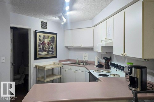 #404 17511 98A Av Nw, Edmonton, AB - Indoor Photo Showing Kitchen With Double Sink
