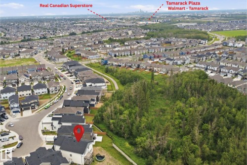 Aerial view of a residential neighborhood with numerous detached homes - 304 33 Avenue Nw, Edmonton, AB - Outdoor With View