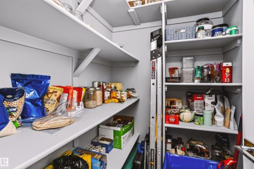 Built-in pantry shelving featuring multiple tiers for organized storage - 11305 79 Avenue Nw, Edmonton, AB - Indoor With Storage