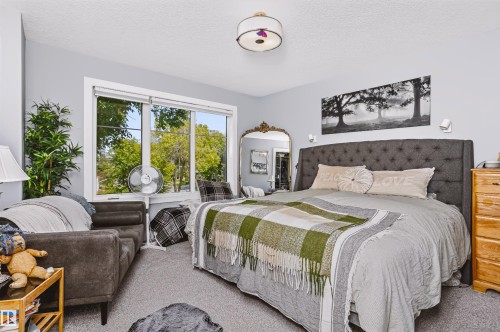 Bedroom featuring a large window, light gray walls, and gray carpet flooring - 11305 79 Avenue Nw, Edmonton, AB - Indoor Photo Showing Bedroom