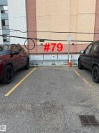 Image quality insufficient for description - 