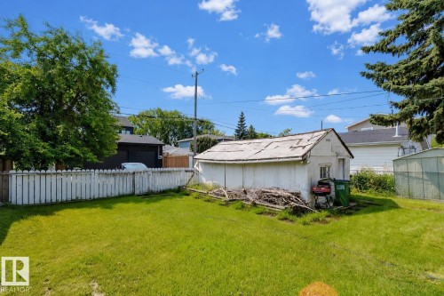 Expansive grassy backyard featuring a white picket fence, a detached shed, and mature trees - 10955 72 Avenue Nw, Edmonton, AB - Outdoor