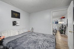 Comfortable bedroom featuring wood-finish flooring, generous natural light from multiple windows, and direct access to a walk-in closet with shelving - 