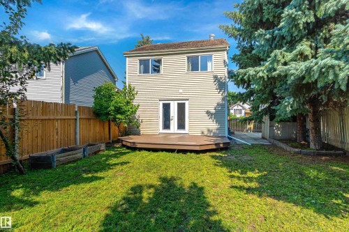 Expansive backyard featuring a large wood-finish deck, lush green lawn, mature evergreen trees, and a privacy fence - 281 Vantage Lane, Sherwood Park, AB - Outdoor