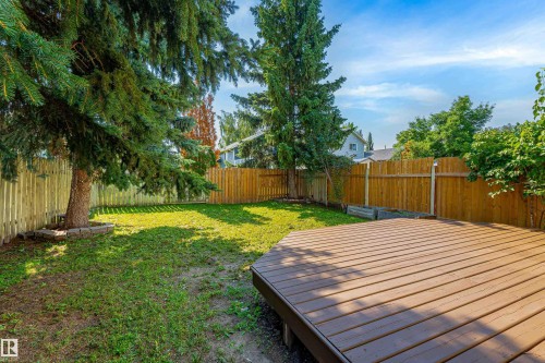 Expansive backyard featuring a multi-sided wood-finish deck, mature evergreen trees, manicured lawn, and perimeter wood fencing - 281 Vantage Lane, Sherwood Park, AB - Outdoor