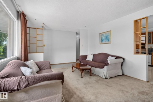 Living area with light-colored carpeting and white walls - 6012 145 Avenue Nw, Edmonton, AB - Indoor Photo Showing Living Room