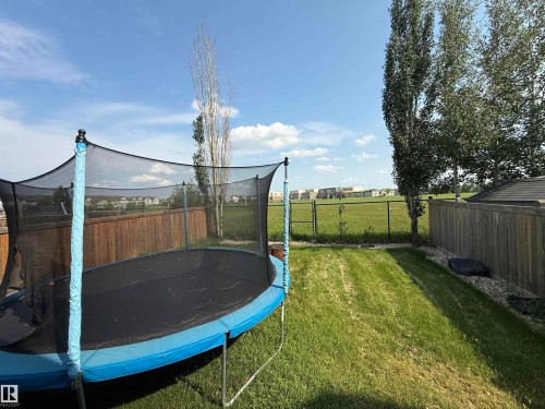 Expansive backyard featuring a manicured lawn, a wood privacy fence, and mature trees - 5931 12 Avenue Sw, Edmonton, AB - Outdoor
