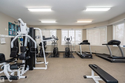 Dedicated fitness room featuring carpeted flooring and multiple window openings - #413 237 Youville Dr E Nw, Edmonton, AB - Indoor Photo Showing Gym Room