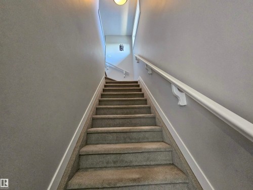 Carpeted staircase with white handrail and baseboards - 13309 104 Street Nw, Edmonton, AB - Indoor Photo Showing Other Room