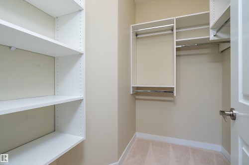 3090 Cameron Heights Way Nw, Edmonton, AB - Indoor With Storage